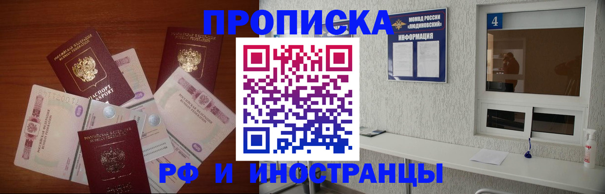 прописка ребенка в Шагонаре